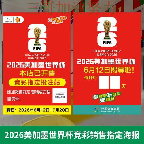 世界杯投注网站大全入口汇总总结：怎么玩关键点解析（世界杯官方信息）